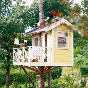 build-treehouse